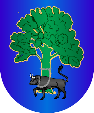 ESCUDO PRECEDENTE